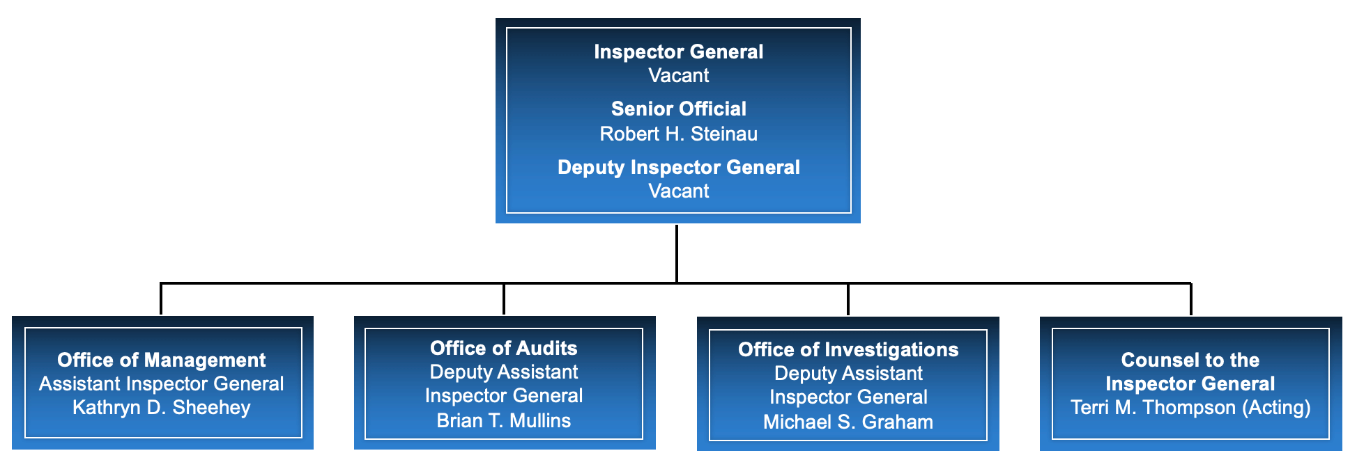 Organizational chart showing: Inspector General: Vacant. Senior Official: Robert H. Steinau. Deputy Inspector General: Vacant. Office of Management Assistant Inspector General: Kathryn D. Sheehey. Office of Audits Deputy Assistant Inspector General: Brian T. Mullins. Office of Investigations Deputy Assistant Inspector General: Michael S. Graham. Counsel to the Inspector General: Terri M. Thompson (Acting)