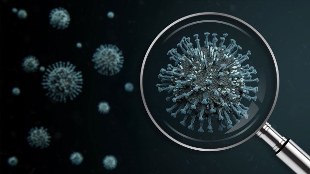 Illustration of a magnifying glass over COVID-19 virus particles