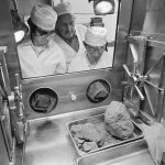 Cracking the $21 Million NASA Moon Rock Caper