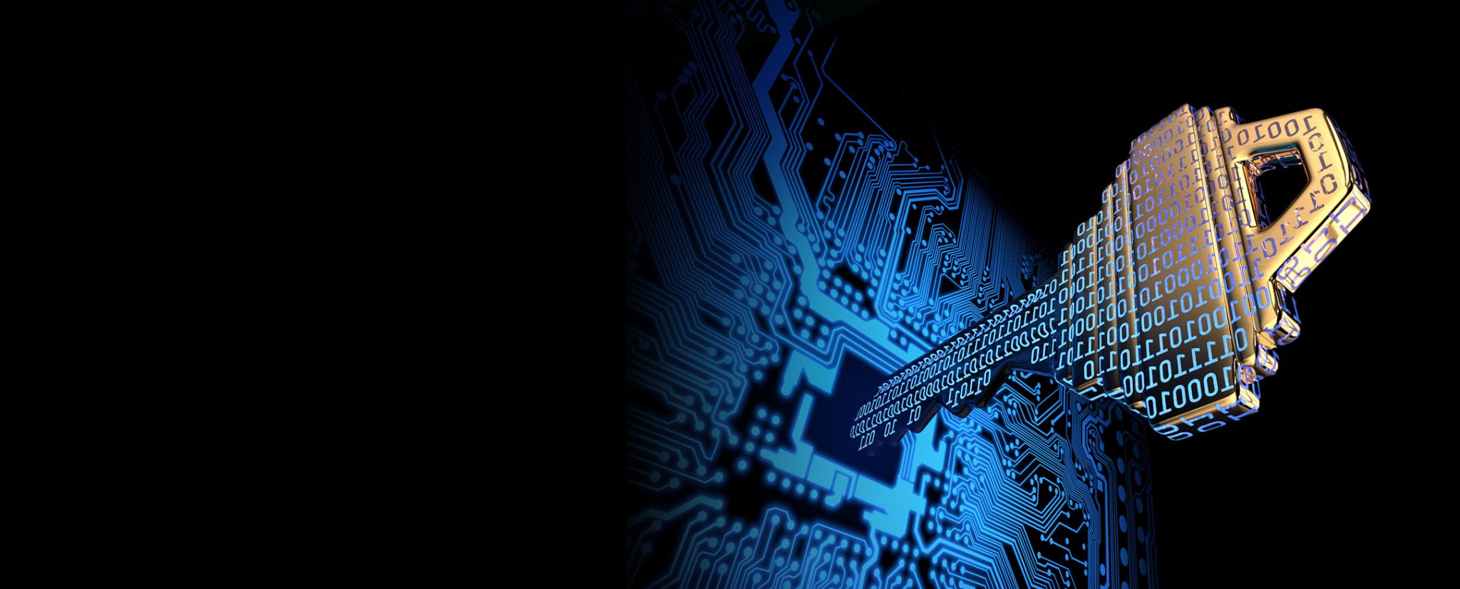 Illustration of a key formed by binary code going into a computer circuit board.